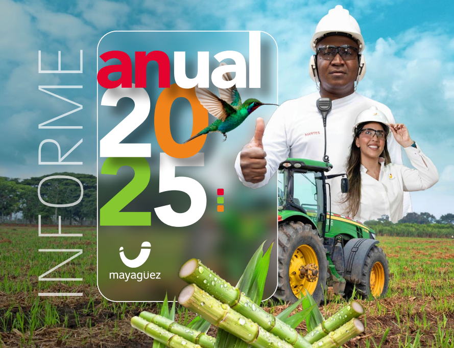 Portada informe anual