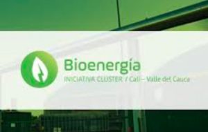 Mayagüez líder del clúster Bioenergía en el Valle