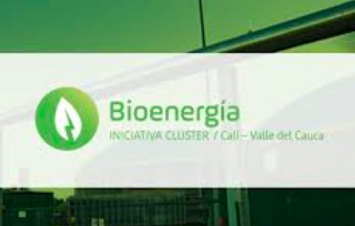 Mayagüez líder del clúster Bioenergía en el Valle