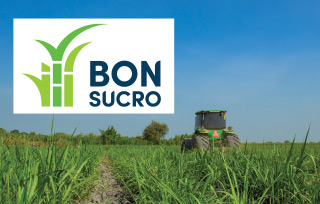 Mayagüez recibe la certificación de sostenibilidad BONSUCRO
